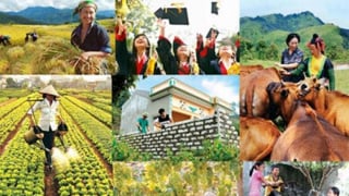 Phấn đấu giải ngân 100% vốn đầu tư công cho các chương trình mục tiêu quốc gia năm 2025