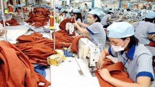 Sức hút của thương mại điện tử tại thị trường VIệt Nam giai đoạn này như thế nào?