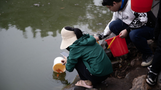Người Hà Nội tiễn ông Công, ông Táo về trời