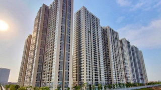 Giá chung cư cao đột biến do đầu cơ