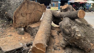 Cần công khai đánh giá tác động môi trường các dự án hạ tầng đô thị