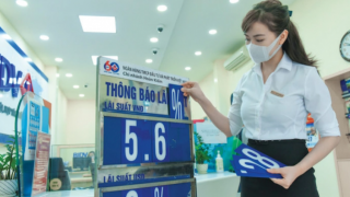 Ngân hàng Nhà nước sẽ kiểm tra các ngân hàng lãi suất cao