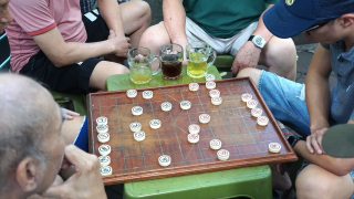 Cờ vỉa