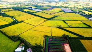 Gỡ “nút thắt”, đẩy mạnh giảm phát thải CO2 từ sản xuất nông nghiệp