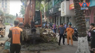 Hà Nội: Khẩn trương dọn cây đổ