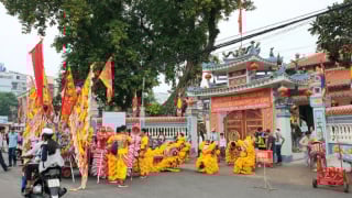 Rộn ràng chợ Đình
