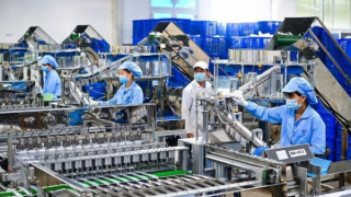 47% doanh nghiệp tin rằng tình hình kinh tế vĩ mô Việt Nam sẽ có sự cải thiện trong quý tới