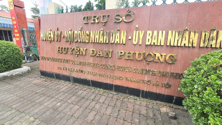 Hà Nội: Không có chuyện học sinh trên địa bàn huyện Đan Phượng bị ngộ độc do uống sữa