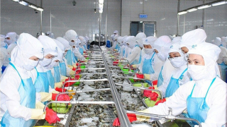 Tìm giải pháp hỗ trợ doanh nghiệp tận dụng cơ hội từ các FTA