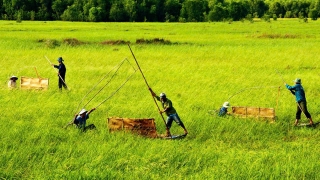 Ký ức cánh đồng hoang