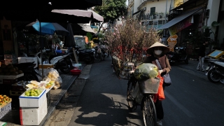 Mùa Xuân trên phố