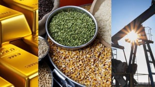 Trước thời điểm đàm phán thuế quan, sắc xanh áp đảo trên thị trường hàng hóa thế giới