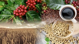 Sau đàm phán Mỹ - Trung, tâm lý lạc quan lan tỏa trên thị trường hàng hóa thế giới