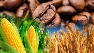 Sắc đỏ lan tỏa trên thị trường hàng hóa thế giới