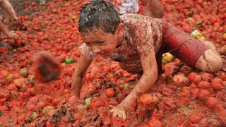 Gran Tomatina Colombia: Cà chua bay đỏ rực trời trong đại chiến “điên rồ”