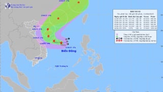 Áp thấp nhiệt đới mạnh lên thành bão số 1