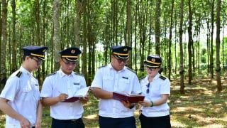 Kiểm toán Nhà nước góp phần giúp cây mắc ca “xanh” trên đất đỏ bazan