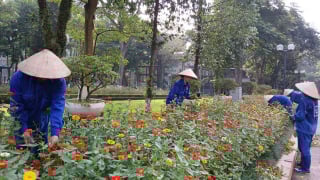 Hà Nội ra quân chỉnh trang đô thị phục vụ Quốc khánh 2/9
