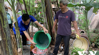 Thủ tướng yêu cầu tăng cường phòng, chống bệnh sốt xuất huyết;