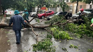 Hà Nội tổng lực ứng phó bão số 3