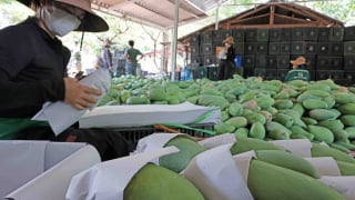 Đẩy mạnh xuất khẩu nông sản sang Trung Quốc, doanh nghiệp Việt cần thay đổi
