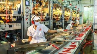 Ngành sản xuất Việt Nam tăng trưởng bất chấp tác động thuế quan của Mỹ