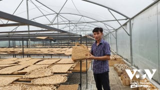 Từ lục bình thành sản phẩm thủ công thân thiện với môi trường