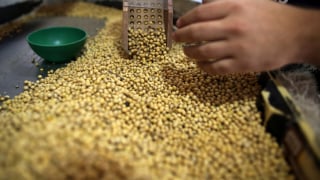 Cung - cầu giằng co, giá hàng hóa thế giới phân hóa