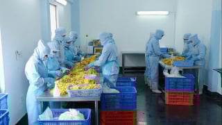 Đồng bộ “hai bánh răng”, gỡ thế khó cho thu hút đầu tư vào ĐBSCL