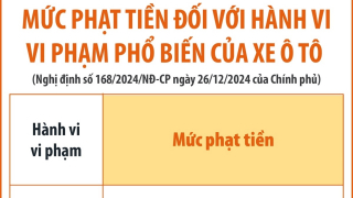 Mức phạt tiền đối với hành vi vi phạm phổ biến của xe ô tô (Phần 2)