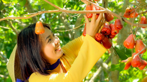 Nông sản Việt cần chất hơn lượng