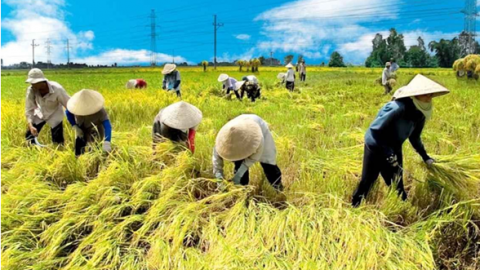 Mần dần công - Ấm áp nghĩa xóm tình làng