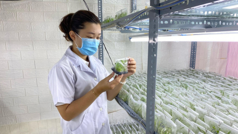 Nữ kỹ sư 9x và hành trình bỏ phố về quê lập nghiệp