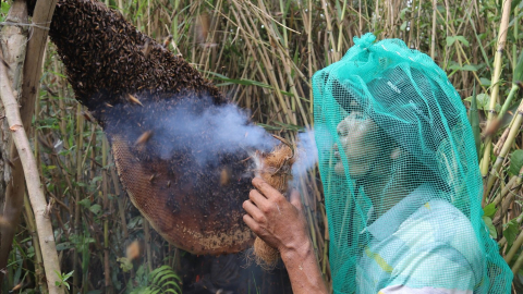 Huyền thoại đất U Minh