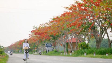 Tự sự của đêm: Tàn phai rực rỡ