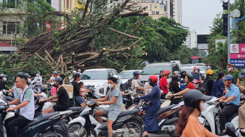 Sau bão, đường phố Hà Nội kẹt cứng vì cây đổ