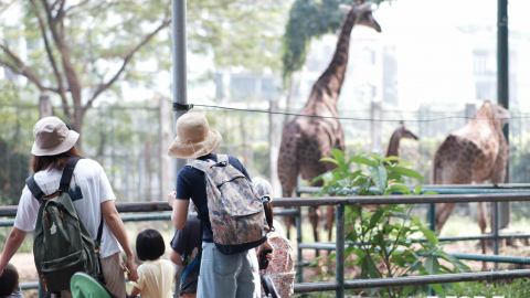 Vườn bách thú, tuổi thơ của bao thế hệ người Sài Gòn