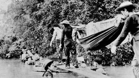 Những bông hoa dưới tán rừng Trường Sơn