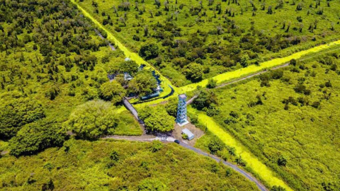Về Đất Mũi nghe hương rừng U Minh Hạ