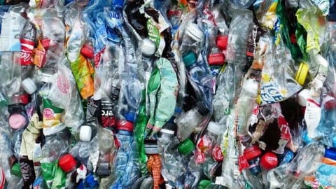 Cuộc chiến chống rác nhựa, vì sao vẫn khó khăn?