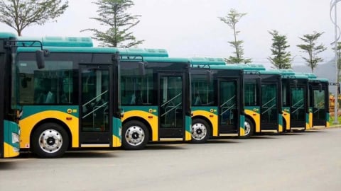 TP.HCM: Từng bước nâng cao chất lượng phục vụ và xanh hoá xe buýt