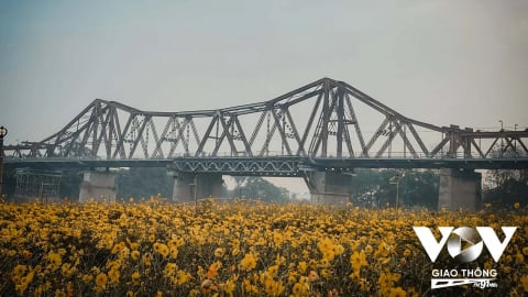 Cầu Long Biên, biểu tượng lịch sử cần một cuộc tái sinh