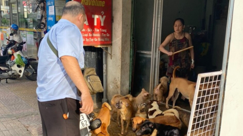 Khổ sở vì sống cạnh căn nhà nuôi gần 100 con chó