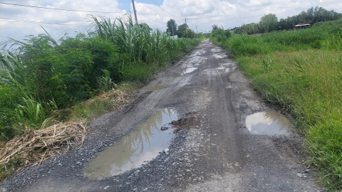 Mặt đê biển Gò Công đang kêu cứu