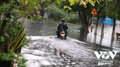 “Lội hành” qua phố