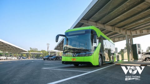TP.HCM “phủ xanh” xe buýt: Cần chuẩn bị và tính toán ra sao?