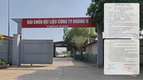 Thâu tóm đất nông nghiệp ở Thanh Trì: “Cần kỷ luật cán bộ, xử lý hình sự hành vi giả mạo của doanh nghiệp”