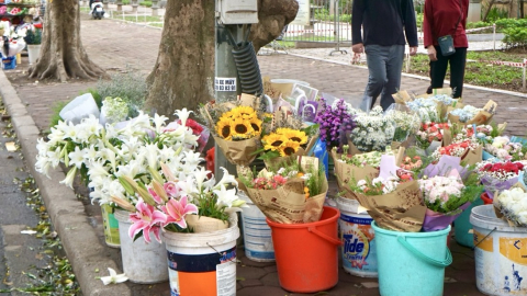 Loa kèn gọi hè về