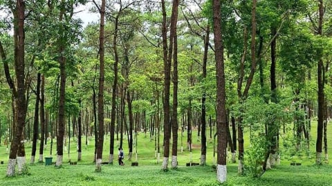 Ba Vì, nơi rừng kể chuyện
