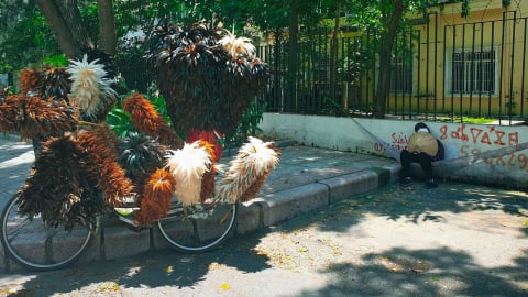 Chiếc chổi lông gà trên phố